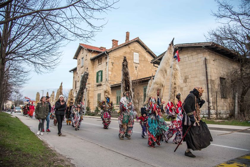 Smotra mačkara Cetinskog kraja