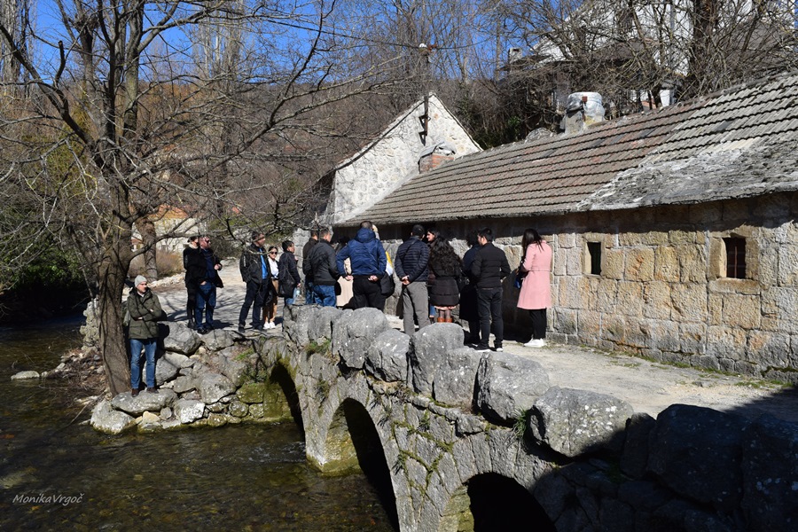 Udruga turističkih vodiča na kineskom jeziku