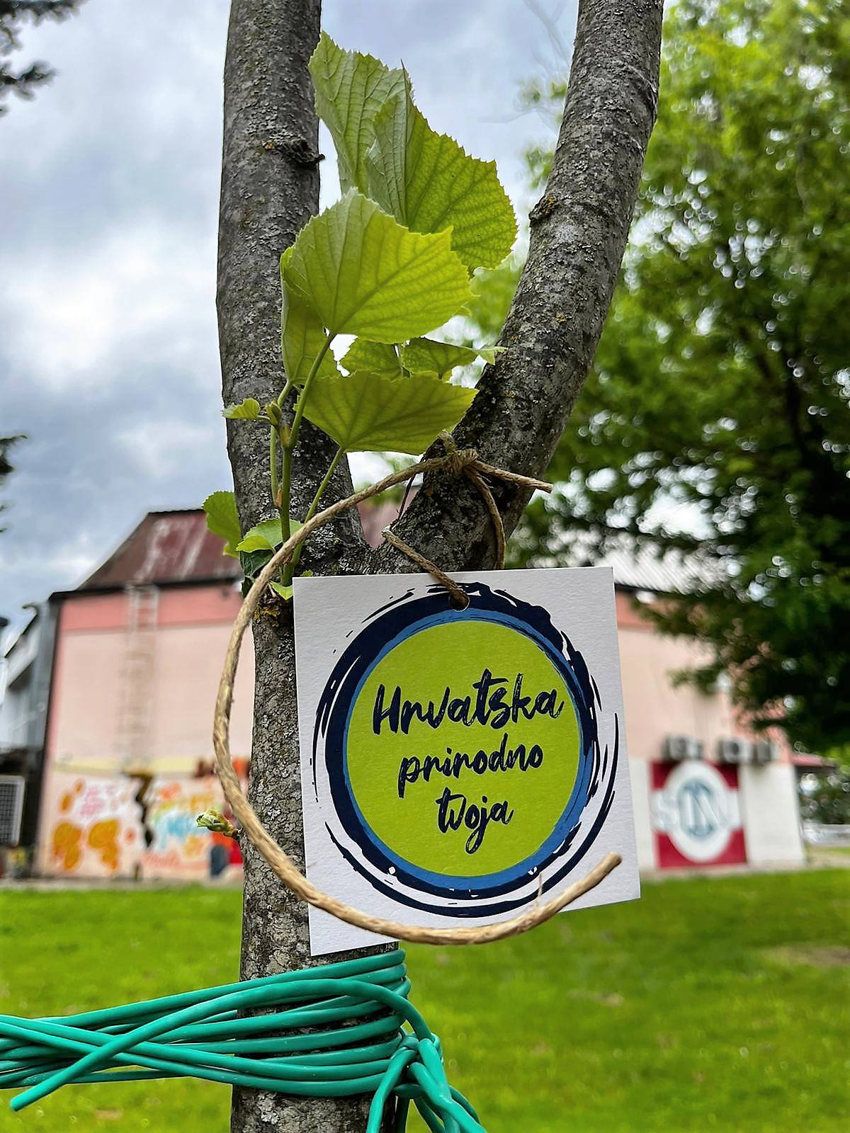 Kroz Projekt ‘Hrvatska prirodno tvoja’ u Sinju zasađene sadnice lipe i javora