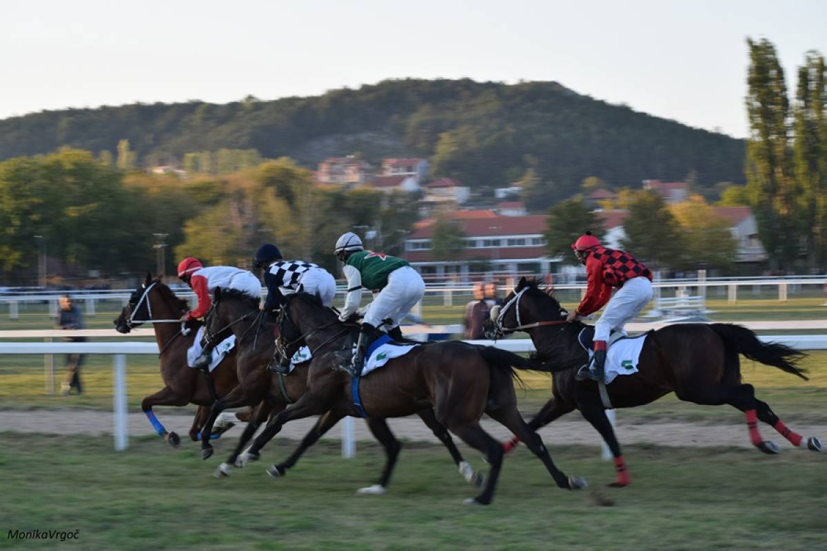 Međunarodne galopske utrke - Hipodrom Sinj, 29.09.2018.