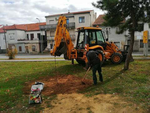 Hrvatska prirodno tvoja – Sinj 2025.