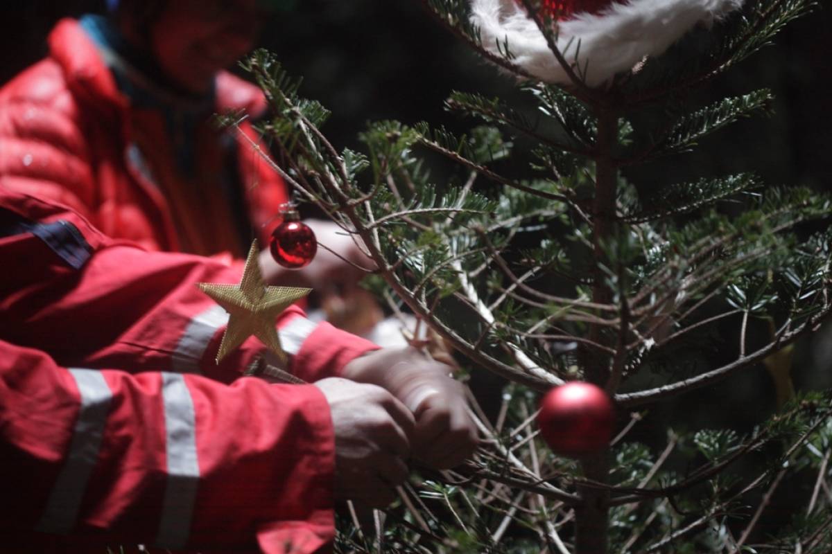 Jedinstveno božićno drvce okićeno u Krstačkoj jami na Vrdovu