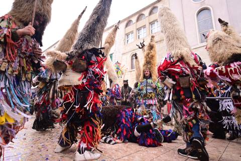 Uspješno održana 9. smotra mačkara u Sinju