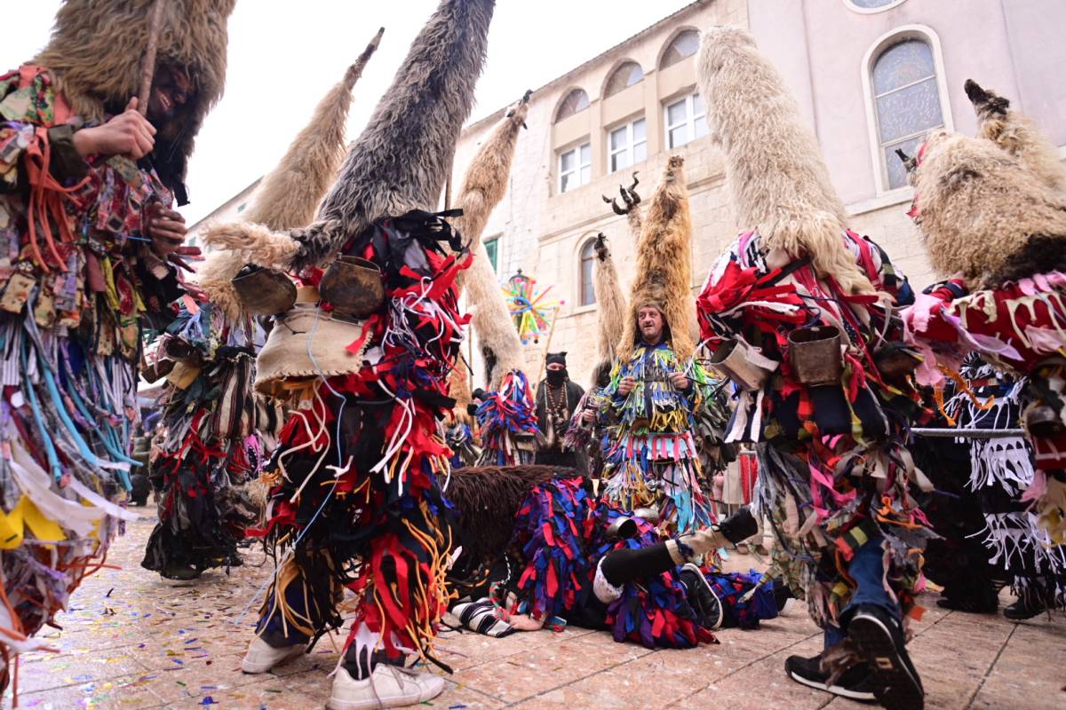 Uspješno održana 9. smotra mačkara u Sinju