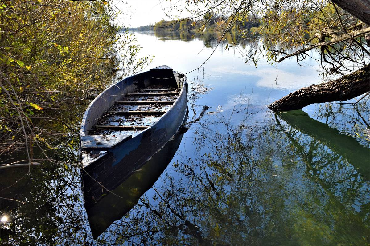Cetina Boat Cetina Boat