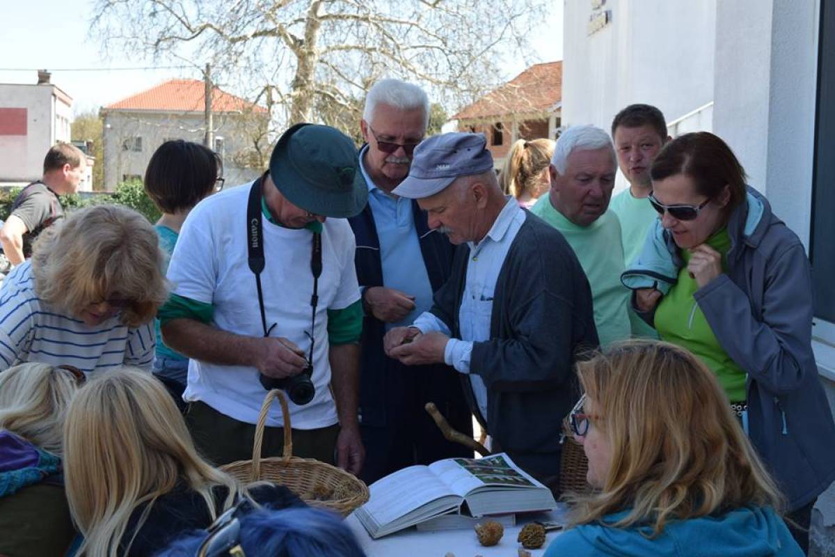 Održana 1. sinjska Smrčkijada