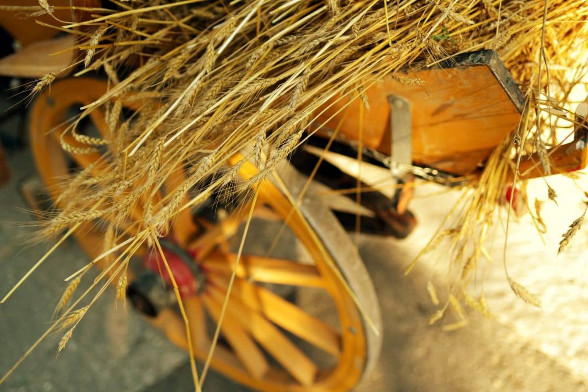 Zajedno gradimo budućnost čuvajući tradiciju – proizvodi i zanati iz srca našeg kraja &#039;Sinjski sajam sela&#039; slavi baštinu i umijeće ruku!