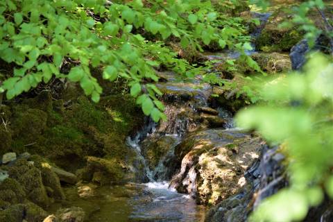 Akcija čišćenja Značajni krajobraz Sutina