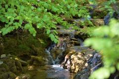 Akcija čišćenja Značajni krajobraz Sutina