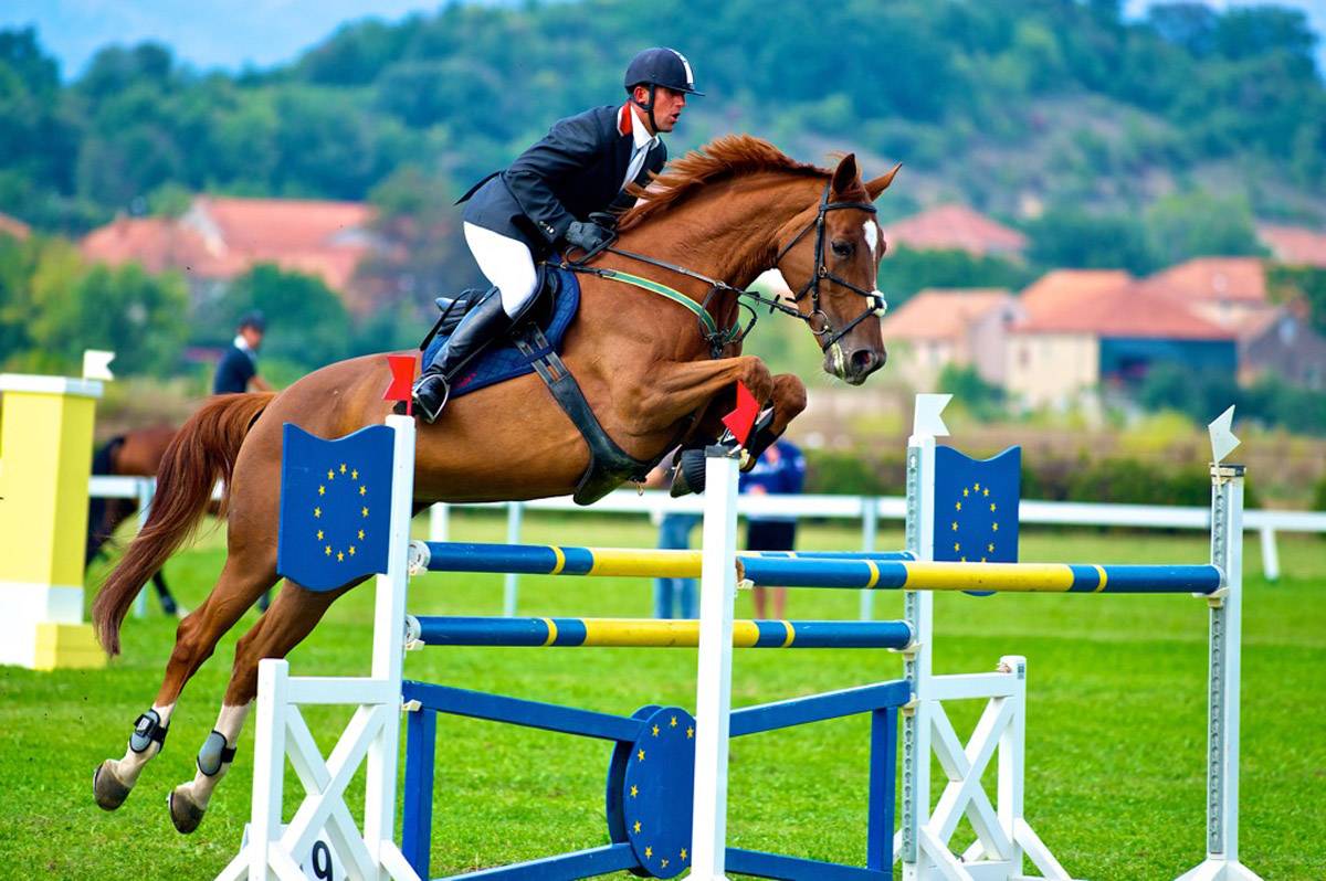 Equitation