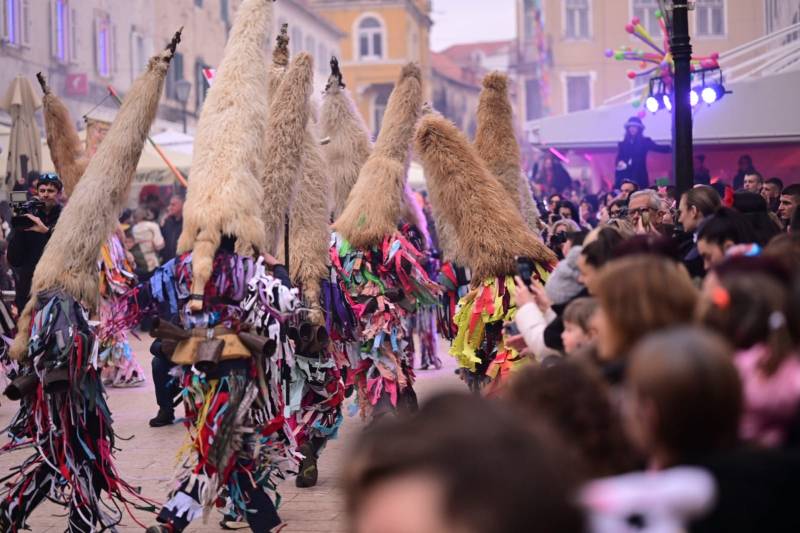 IX. Smotra mačkara – Sinj 2026.