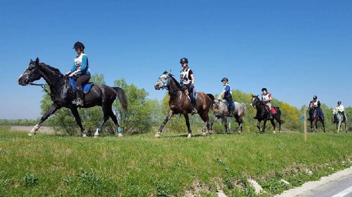 Sinj: 3. kolo Croatia cup-a RH u disciplini endurance-daljinsko jahanje