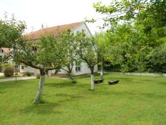 Studio apartment Nela ***